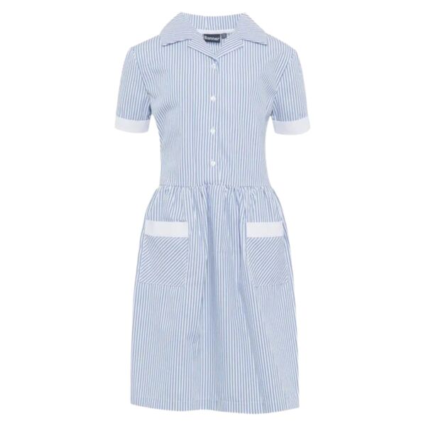 The Elms School Summer Dress Thumbnail